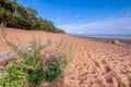 The shore of the gulf of finland of the baltic sea on a sunny summer day. Green pines, blue sky, huge boulders in the water and on Royalty Free Stock Photo