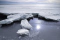 The shore of the Gulf of Finland in winter in the snow in the water reflection of the sun Royalty Free Stock Photo