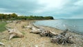 The shore of the Krasnoyarsk sea, driftwood and tree trunks on the shore, among the pebbles