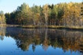 Shore of the lake with autumn forest of coniferous and deciduous trees with reflection in the water. Royalty Free Stock Photo