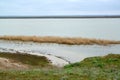 The shore of Lake Manych-Gudilo in spring. Kalmykia Royalty Free Stock Photo