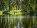 The shore of the lake in the park on a sunny spring day Royalty Free Stock Photo