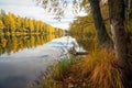 On the shore of the lake on a Sunny autumn day . Royalty Free Stock Photo