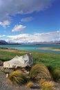 On the shore of Lake Tekapo. Royalty Free Stock Photo