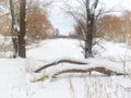 The shore of the lake in the winter Royalty Free Stock Photo