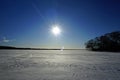 On the shore of the lake in winter. Sunny day. Shot against a blindingly bright sun. Gallo. Royalty Free Stock Photo