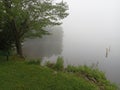 Shore line on foggy morning Lake Royalty Free Stock Photo