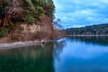 Shore line with trres and driftwood and blue water Royalty Free Stock Photo