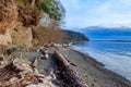 Shore line with trres and driftwood in washington state Royalty Free Stock Photo