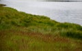 Lake shore with trees and grass mountain meadows acidic peat water with aquatic plants in the forest Royalty Free Stock Photo