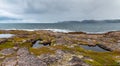 Shore of the northern ocean is made of stones covered with colorful moss. Teriberka, Barents Sea, Murmansk region, Kola Peninsula Royalty Free Stock Photo