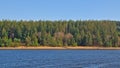 Shore o the lake of Eupen with pine forest on a sunny winter day