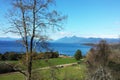 Shore of Ranco Lake, in Chile