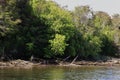 The shore of the Rio Chepu in the island of Chiloe, Chile