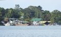 Shore of Rio Dulce, Guatemala