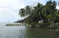 Shore of Rio Dulce, Guatemala