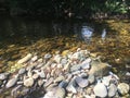 Shore of a river of calm waters