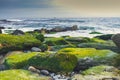 Shore of rocks on the Atlantic coast and fishing boat, Galicia Royalty Free Stock Photo