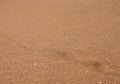 Shore sand background with shells Royalty Free Stock Photo