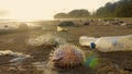 Shore of sea beach with plastic trash, empty bottles and dead fish Royalty Free Stock Photo
