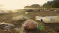 Shore of sea beach with plastic trash, empty bottles and dead fish