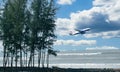 On the shore of the sea there are big trees, huge sea is visible, airplanes are flying in the sky.