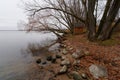 Shore of Seliger lake near Ostashkov Royalty Free Stock Photo