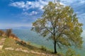 Shore of Sevan lake, Armenia Royalty Free Stock Photo
