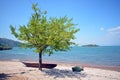 Shore of skadar lake, boat, tree, beautiful background, montenegro