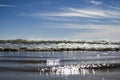 Shore and sky