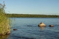 Shore of a small lake with rocks and reeds. Royalty Free Stock Photo