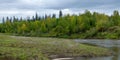The shore of a small river Kempendyay in the wild North of Yakutia with grass on one side and the bushes Royalty Free Stock Photo
