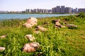 The shore of Songya Lake, piled with huge stones,