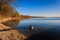Shore in Stegen at the Ammersee in Bavaria Germany Royalty Free Stock Photo