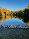 Shore with stones in front of an autumn lake with the reflection of yellow trees in the water Royalty Free Stock Photo