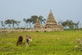 Shore temple of Mahabalipuram, India