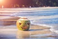 The shore of a tropical island. On the shore lies a coconut with a terrible Halloween face carved on it. Sunny day