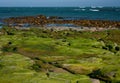 A shore at Waipapa Point in the Catlins in the South Island in New Zealand