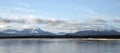 Shorebirds flying near Glacier Bay