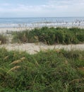 Shoreline along the Atlantic ocean