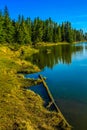 Shoreline along McLean Creek Provincial Recreation Area