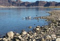 Shoreline of Boulder Beach in Lake Mead National Recreation Area, Clark County, Nevada Royalty Free Stock Photo