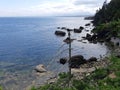 Shoreline of Boyle Point Provincial Park