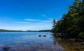 Shoreline of Branch Lake in Maine in the summertime Royalty Free Stock Photo