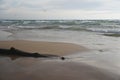 Shoreline with drift wood on beach Royalty Free Stock Photo