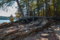 Shoreline erosion at the lake Royalty Free Stock Photo