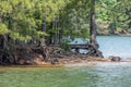 Shoreline erosion on the lake closeup Royalty Free Stock Photo