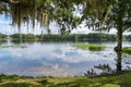 Shoreline of Henderson Lake