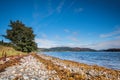 Shoreline on the Kyles of Bute Royalty Free Stock Photo