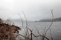 Shoreline of Lake Burbury Tasmania Royalty Free Stock Photo